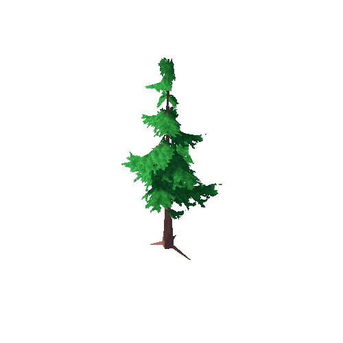Pine Tree Green Mid 10
